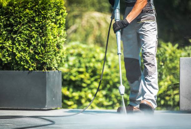 Best Roof Washing  in Madrid, IA